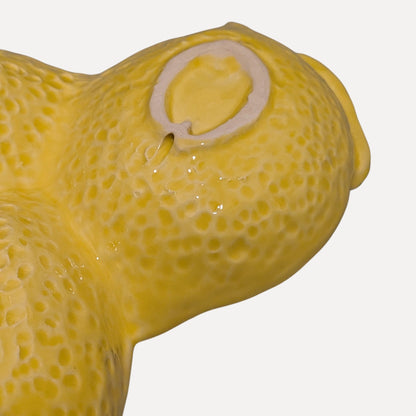 Handmade Ceramic Serving Plate - Lemon / Prickly Pear